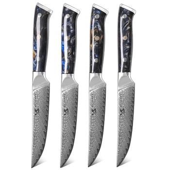 BIGSUNNY 5 инчов нож за пържоли 67 слоя Damascus VG10 стомана месо рязане със смола дръжка
