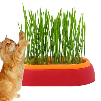 Pet Cat Grass Planter Box Хидропонна котешка трева Растениевъдна саксия Без почва Котешки закуски Кълняемост Саксия за разсад Кутия за растеж