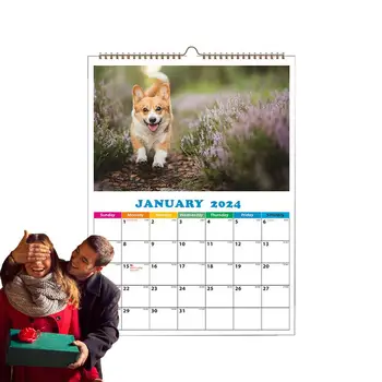Календар на животните 2024 Сладки ежедневни животни Стенен календар А4 Стенен календар Кучешки календар Дневен стенен декор за апартамент общежитие